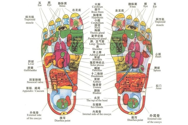 reiki.ideazunlimited.net./Reflexology Therapy