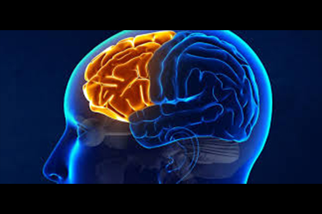 reiki.ideazunlimited.net.mind concentration